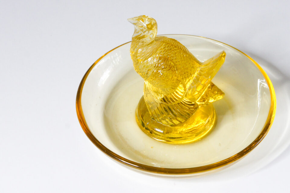 「ピントレイ 七面鳥」