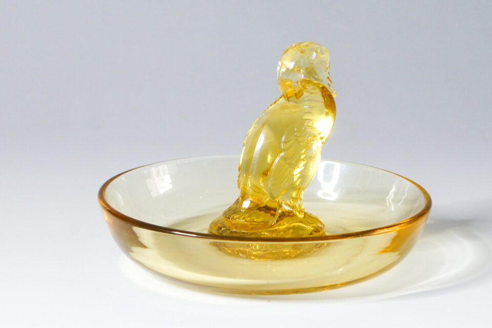 「ピントレイ カナール」