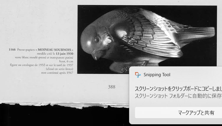 「あざといスズメ」