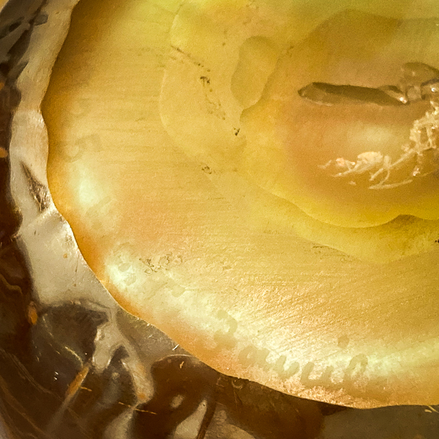 アールヌーヴォー「花形鉢」